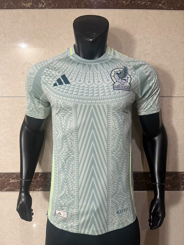 AAA Quality Mexico 2024 Away Grey Green Soccer Jersey(Player)